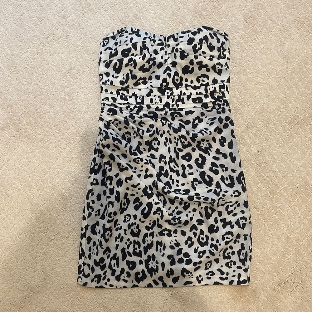 Express‎ Dress